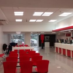 Guerci y Asociados 6